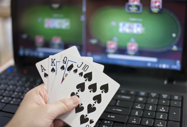 244bet