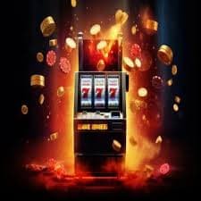 244bet